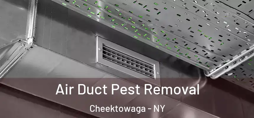 Air Duct Pest Removal Cheektowaga - NY