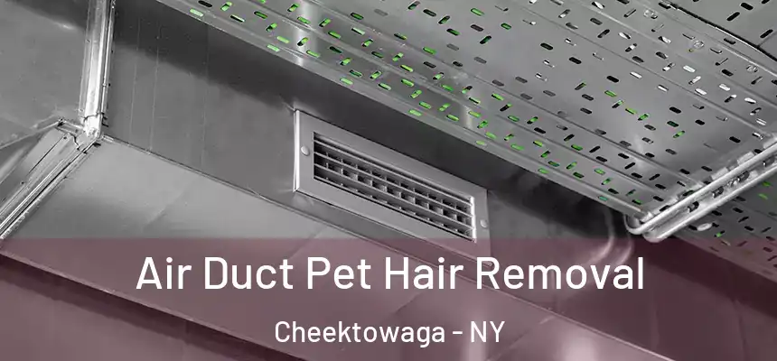 Air Duct Pet Hair Removal Cheektowaga - NY