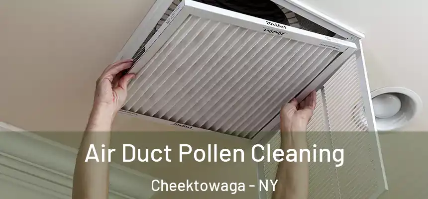 Air Duct Pollen Cleaning Cheektowaga - NY