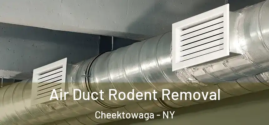 Air Duct Rodent Removal Cheektowaga - NY