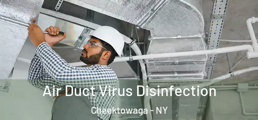 Air Duct Virus Disinfection Cheektowaga - NY