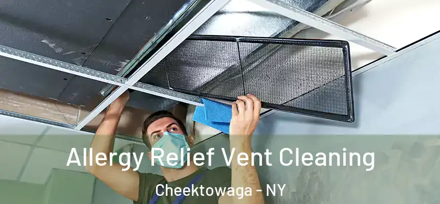 Allergy Relief Vent Cleaning Cheektowaga - NY