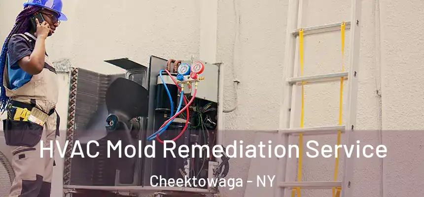 HVAC Mold Remediation Service Cheektowaga - NY