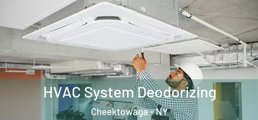 HVAC System Deodorizing Cheektowaga - NY
