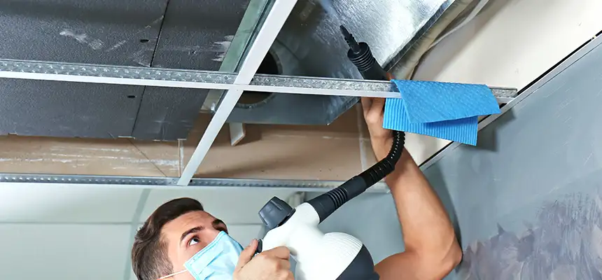 Our Air Duct Rodent Removal Services in Cheektowaga, NY