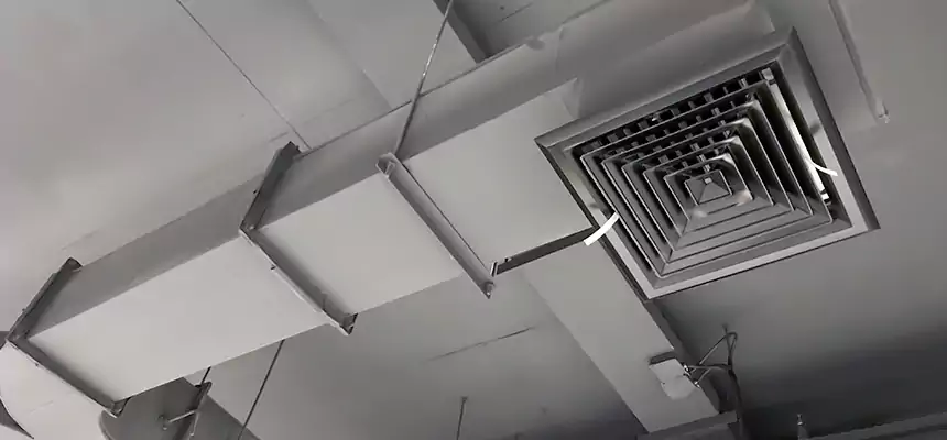 Restorative Allergy Relief Vent Cleaning – Coil, Blower & Housing Detail in Cheektowaga