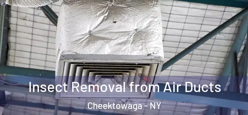 Insect Removal from Air Ducts Cheektowaga - NY