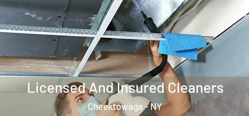 Licensed And Insured Cleaners Cheektowaga - NY