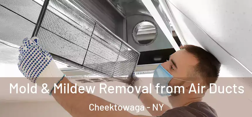 Mold & Mildew Removal from Air Ducts Cheektowaga - NY