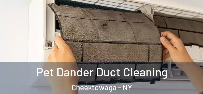 Pet Dander Duct Cleaning Cheektowaga - NY