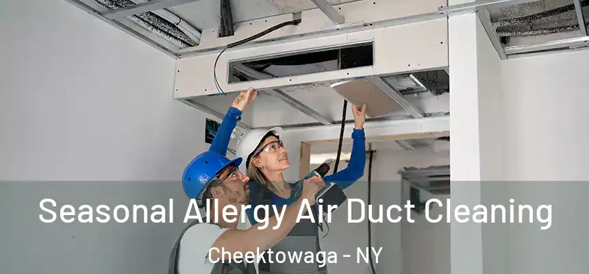 Seasonal Allergy Air Duct Cleaning Cheektowaga - NY