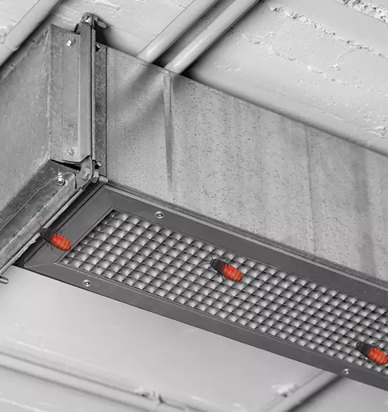 About Air Duct Cockroach Removal in Cheektowaga, NY