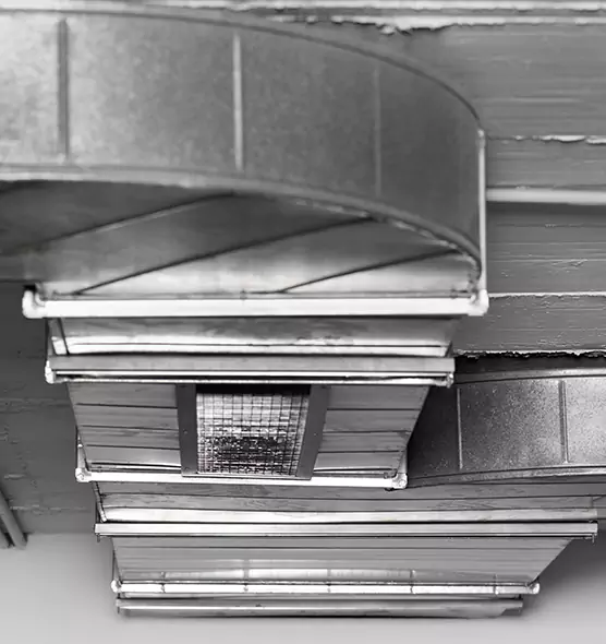 Professional Air Duct Pest Removal in Cheektowaga, NY