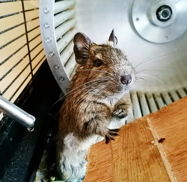 Why Homeowners & Businesses Trust Us Cheektowaga, NY?