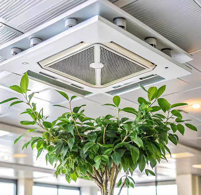 Why Homeowners & Businesses Trust Us in Cheektowaga, NY?