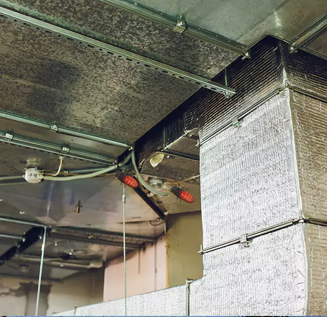 Why Homeowners & Businesses Trust Us Cheektowaga, NY?